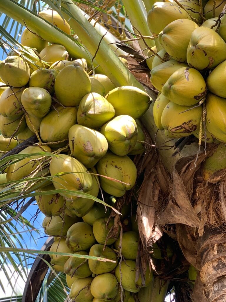 whatsapp image 2025 07 31 at 11.05.43 4c233efa